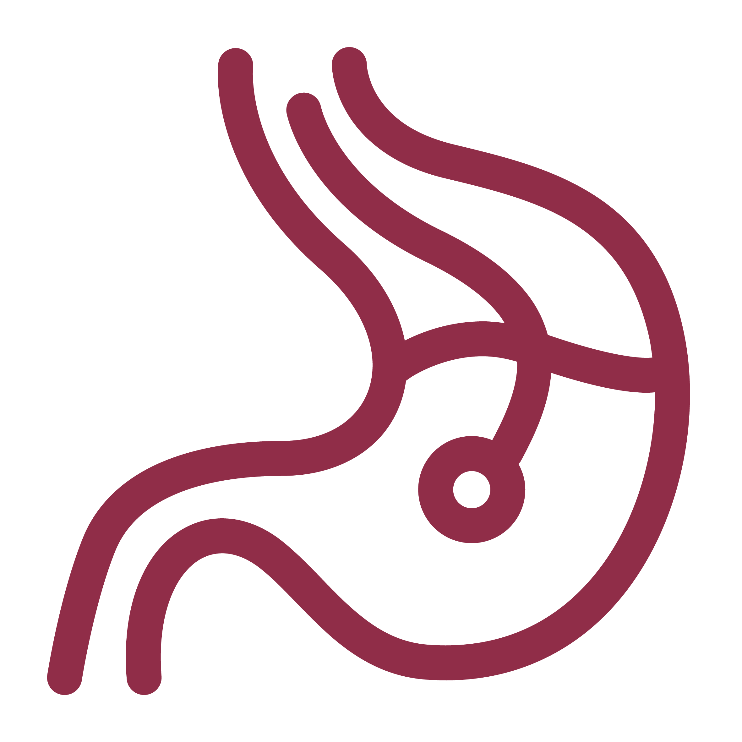 Endoscopy and bronchoscopy 